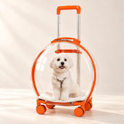 MewGo orange pet trolley carrier