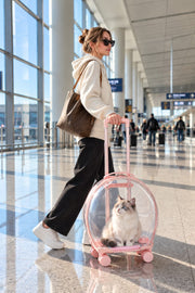 MewGo pet trolley carrier airport lifestyle